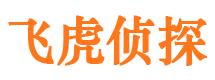 宏伟外遇出轨调查取证